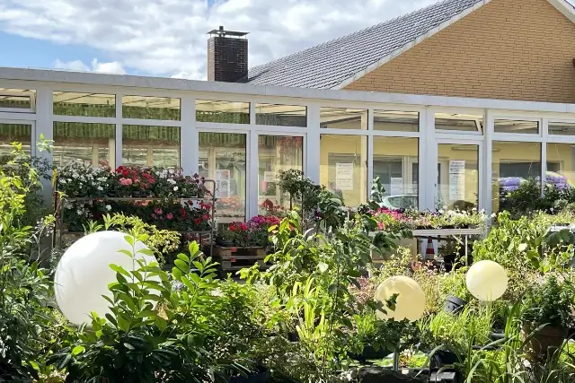 Außenbereich der Gärtnerei Ohlemeyer mit Blumen, Stauden und Grünpflanzen