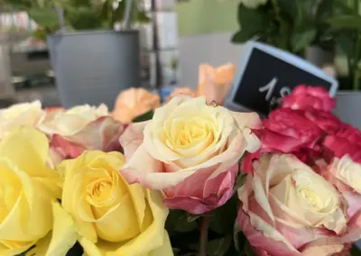 Frische Rosen in Gelb, Rosa und Rot im Verkaufsraum der Gärtnerei Ohlemeyer