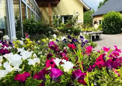 Bunte Blumen in verschiedenen Farben als Sommerblumen in der Gärtnerei