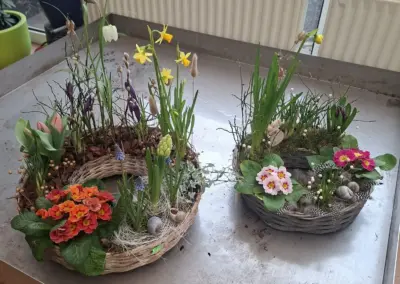 Frühlingshafte Pflanzschalen mit Primeln, Narzissen, Tulpen und dekorativen Naturmaterialien